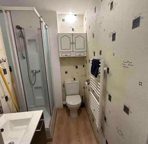 Le Charrue En Hyper Centre Apartment *