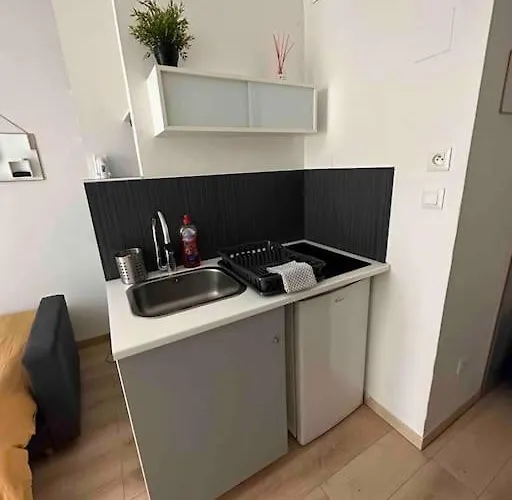 Le Charrue En Hyper Centre * Dijon